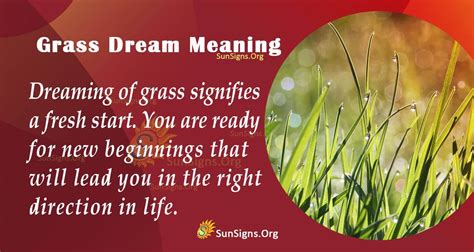 The Spiritual Connection: Uprooting Grass Dreams as Divine Messages