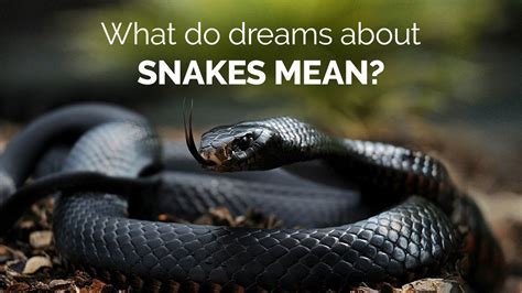 The Spiritual Meaning Behind Dreams Involving a Serpent Fatally Attacking Another Being