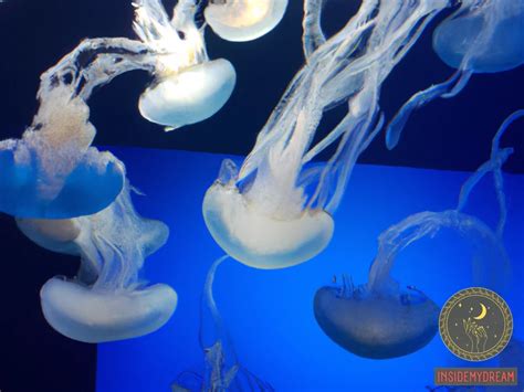 The Surprising Symbolism of Sea Jellies in Dream Interpretation