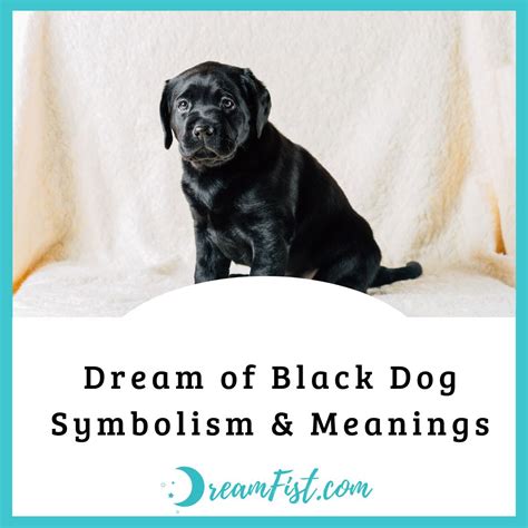 The Symbol of a Canine in Dreams