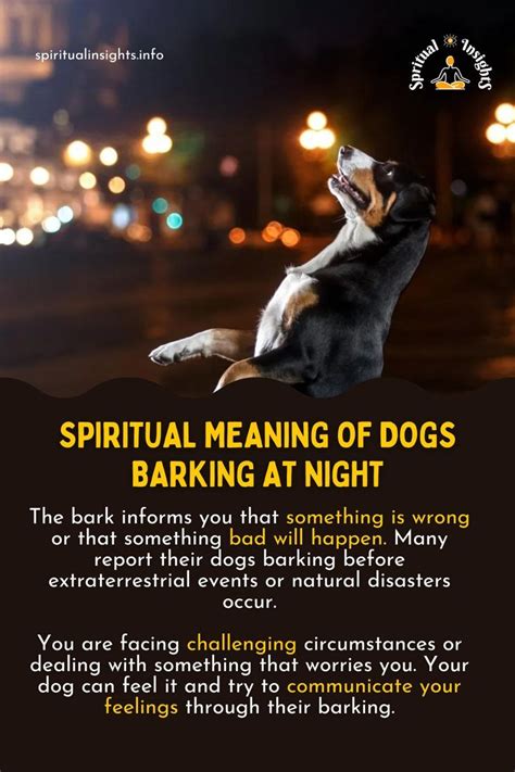 The Symbolic Meaning of Canines Howling During the Night