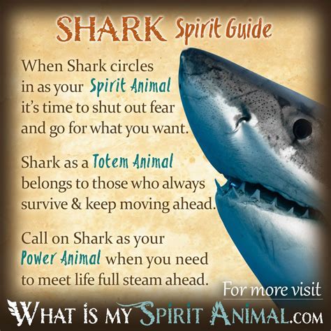 The Symbolic Meanings of Shark Teeth in Dreams