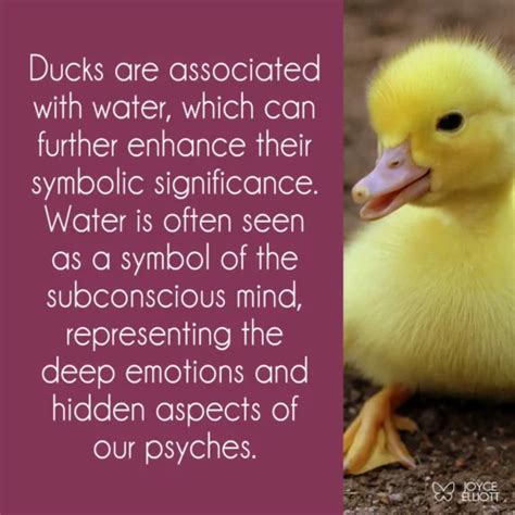 The Symbolic Meanings of the Duck Beak