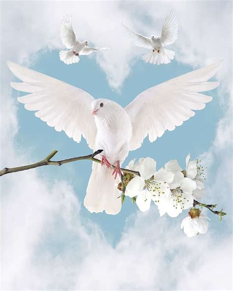 The Symbolic Representation of Doves in Dreams