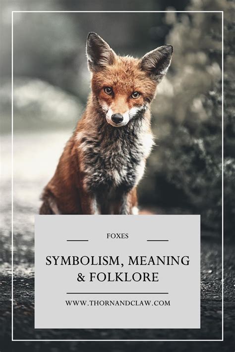 The Symbolic Role of Foxes in Folklore and Mythology