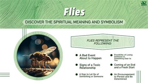 The Symbolic Significance of Consuming Flies and Its Cultural Variances