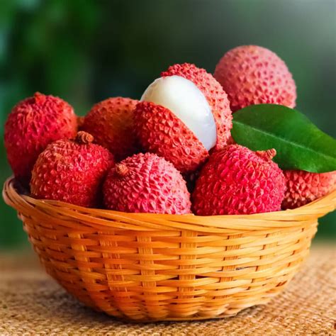 The Symbolic Significance of Lychee Trees in Ancient Cultures