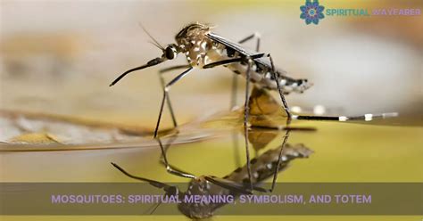 The Symbolic Significance of Mosquitoes in Various Cultures