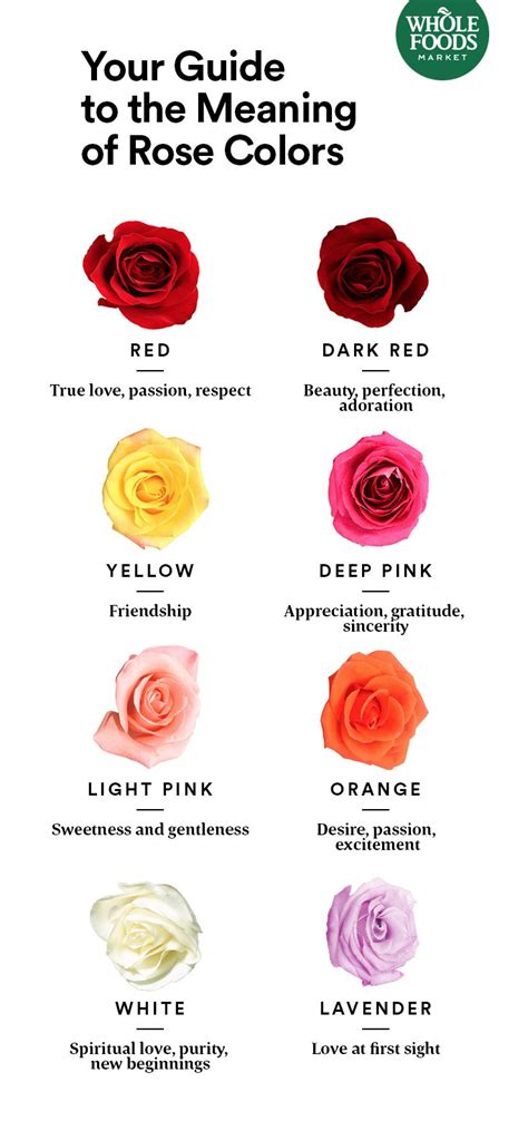 The Symbolic Significance of Roses in Romantic Dreams