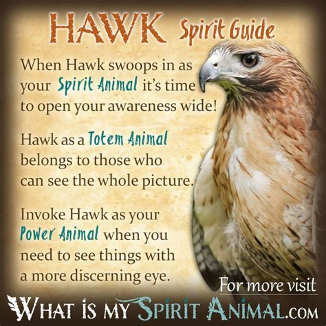 The Symbolic Significance of the Brown Hawk