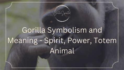 The Symbolism and Meaning Behind the Gorilla