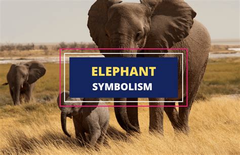 The Symbolism and Significance of Elephants in Different Cultures