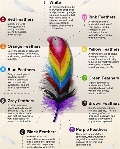 The Symbolism behind Different Colors of Feathers