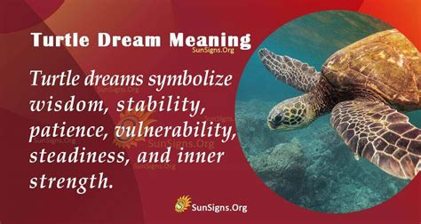 The Symbolism of Dreams: Insights into the Turtle's Consumption