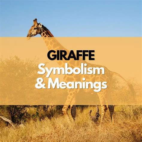 The Symbolism of Observing a Giraffe in a Vision