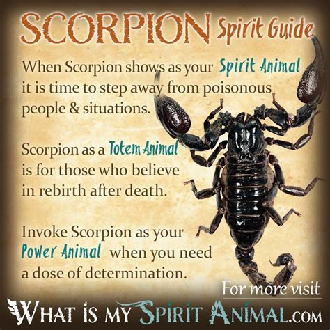 The Symbolism of Scorpions in Dreams