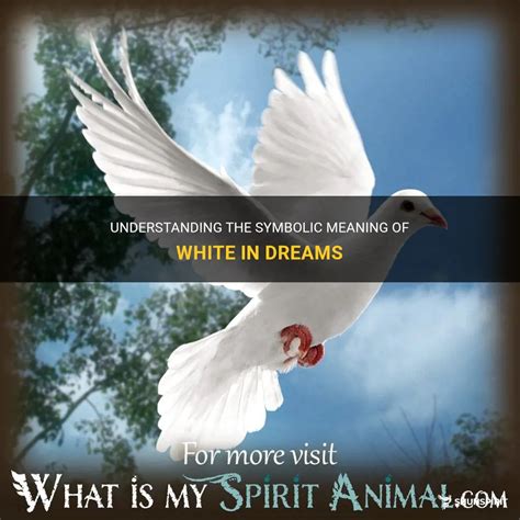 The Symbolism of White in Dreams