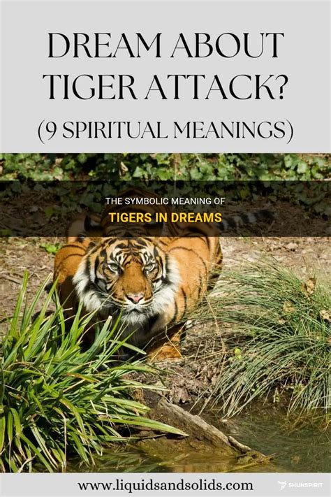 The Symbolism of a Tiger in Dreams