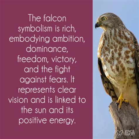 The Symbolism of the Falcon: From Ancient Cultures to Modern Fascination