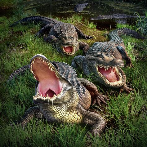 The Thrill and Danger of Interacting with Crocodilians