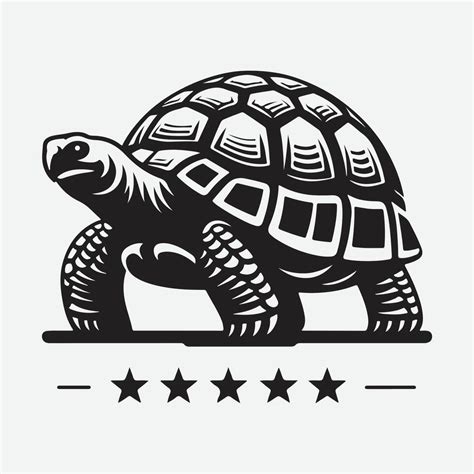 The Tortoise as a Symbol of Longevity and Wisdom