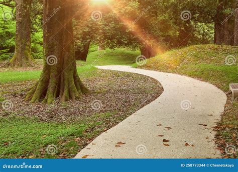 The Tranquil Majesty of a Picturesque Pathway