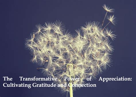 The Transformative Impact of Appreciation