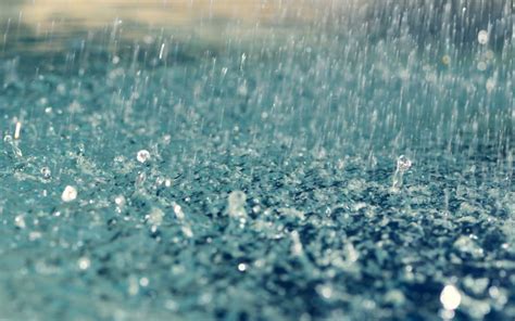 The Transformative Impact of Rain in Dreams