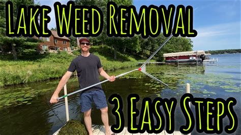 The Ultimate Battle Plan: Step-by-Step Guide to Weed Removal