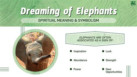 The Varied Interpretations of Elephant Stomping in Dream Analysis