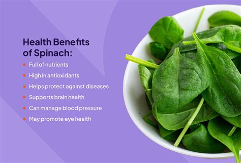 The Versatility and Health Benefits of Spinach