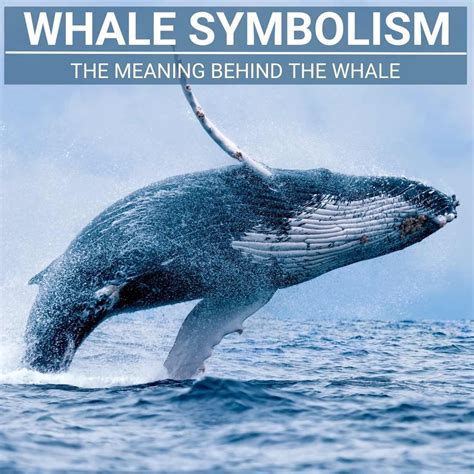 The Whale: Symbolism and Significance in Dreams