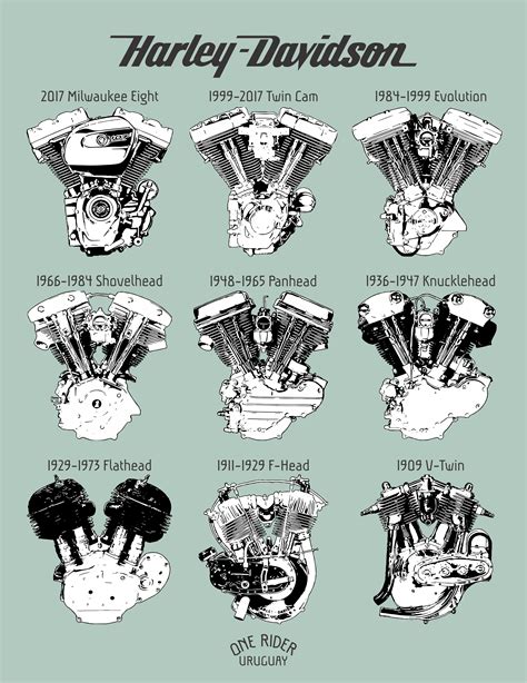 The Years of Harley Bee