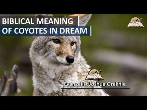 The captivating symbolism of the Scarlett Coyote in dreams