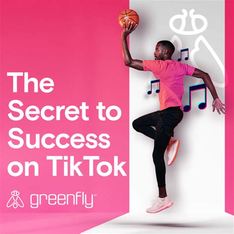 TikTok Success and Popular Videos