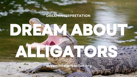 Tips and Techniques for Deciphering the Symbolism of a Crocodile's Stride in Your Dream