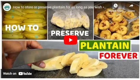 Tips and Tricks for Storing and Preserving Plantains