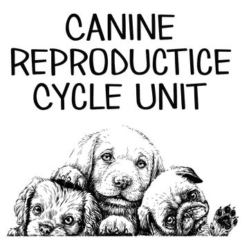 Tips for Analyzing and Decoding a Dream Involving a Canine in Reproductive Cycle