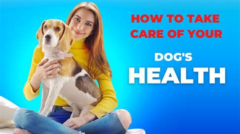 Tips for Ensuring Optimal Care for Your Beautiful Canine Companion