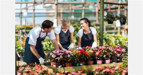 Tips for Establishing a Thriving Greenhouse Business