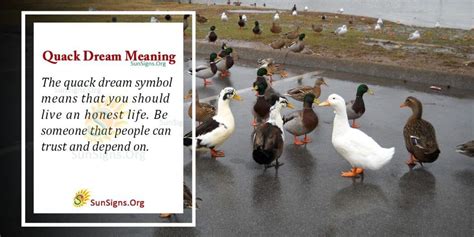 Tips for Interpreting the Personal Significance of a Quack Vision