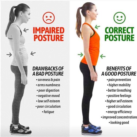 Tips for Maintaining Height and Posture