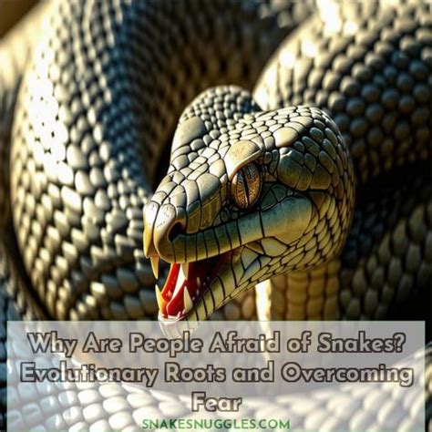 Tips for overcoming fear and anxiety associated with snake attack visions