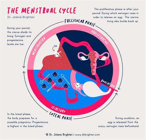 Tips for understanding dreams with significant menstrual flow and applying their insights in daily life