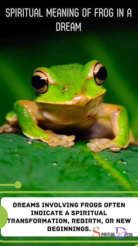 Transformation and Rebirth: The Frog as a Spiritual Guide