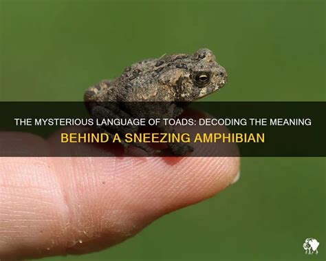 Unconscious Desires and Fears: Decoding the Enigmatic Significance of the Amphibian