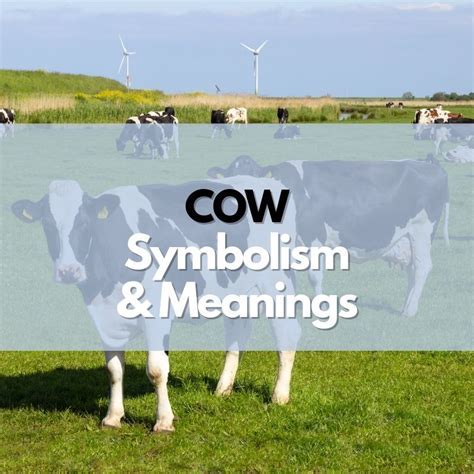 Uncover the Symbolic Meaning behind Bovines in Reveries