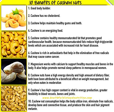 Uncovering the Abundant Nutritional Benefits of Cashews