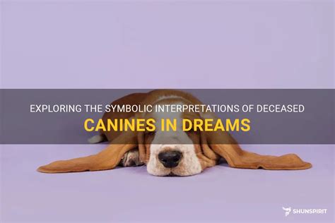 Uncovering the Spiritual and Symbolic Connections to Deceased Canine Craniums