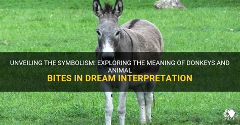 Uncovering the Symbolic Significance of Equine Bites in Dreams